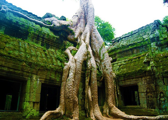 Vietnam Angkor Vat 2010