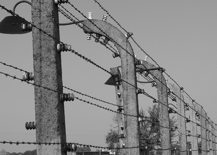 Auschwitz 2007